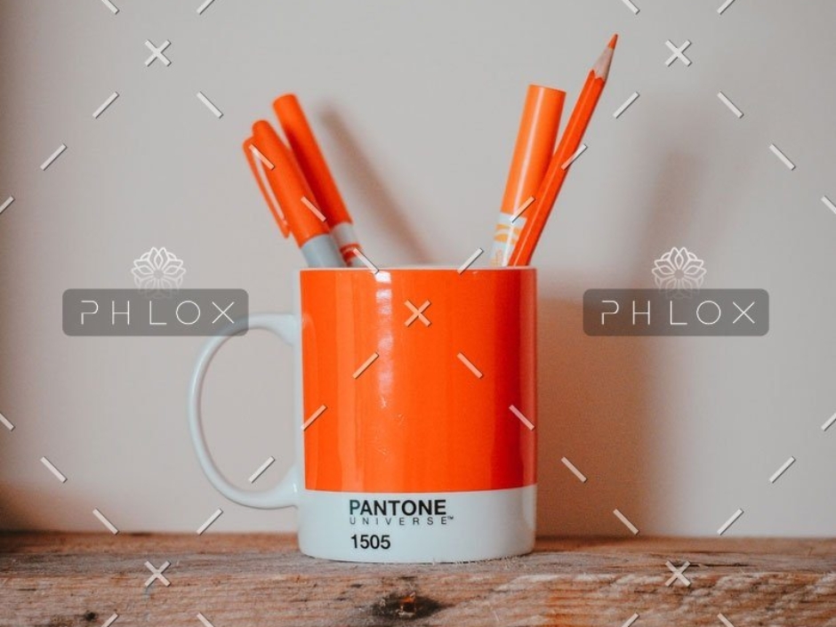 demo-attachment-553-Portfolio_image9